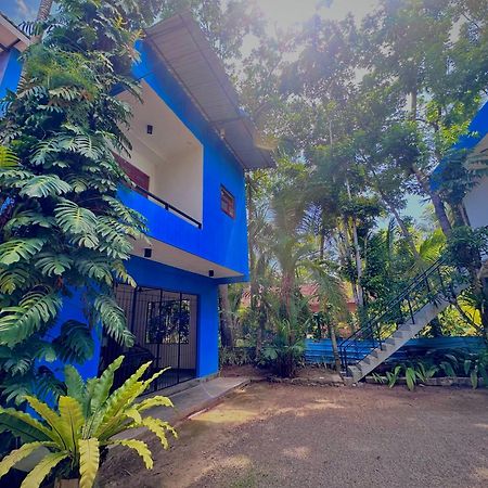 Bed and Breakfast Jungle Fence Bentota Esterno foto