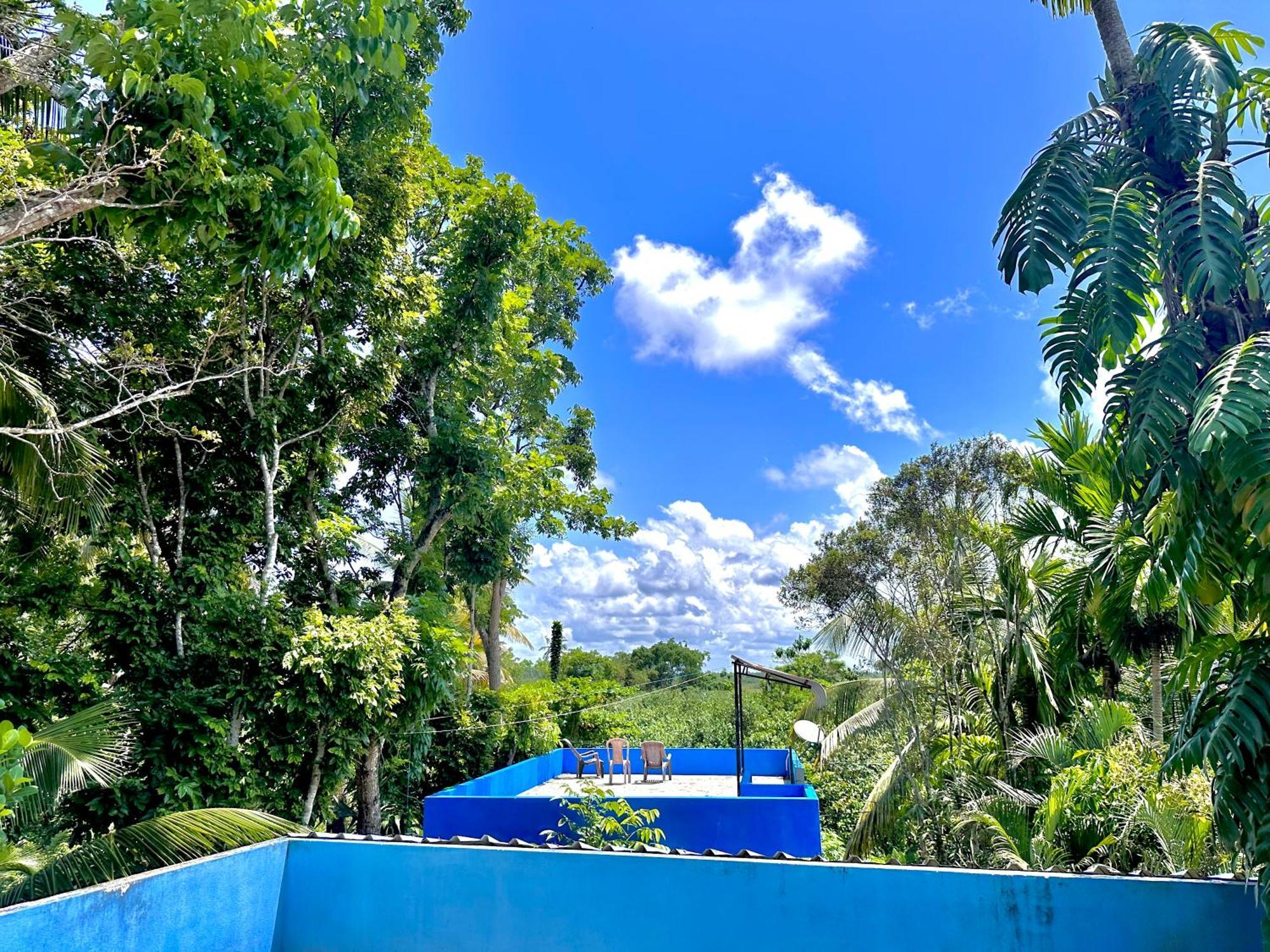Bed and Breakfast Jungle Fence Bentota Esterno foto